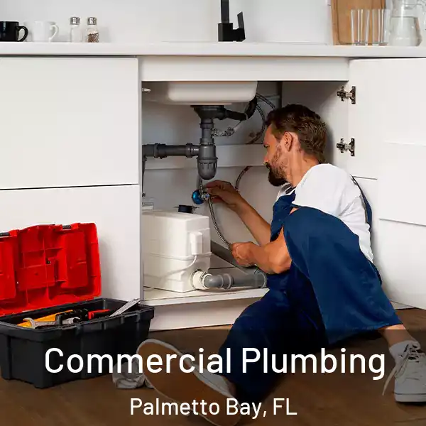  Commercial Plumbing Palmetto Bay, FL